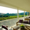 Sonoma Wine Tours